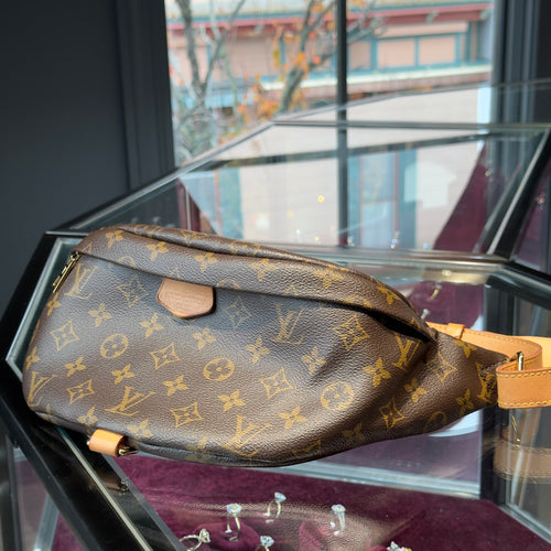 Louis Vuitton Monogram Bum Bag - Queen May