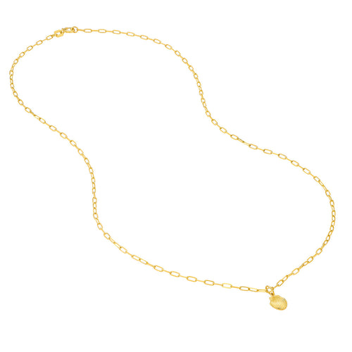14K Yellow Gold Mini Seashell Pendant Paperclip Chain Necklace - Queen May