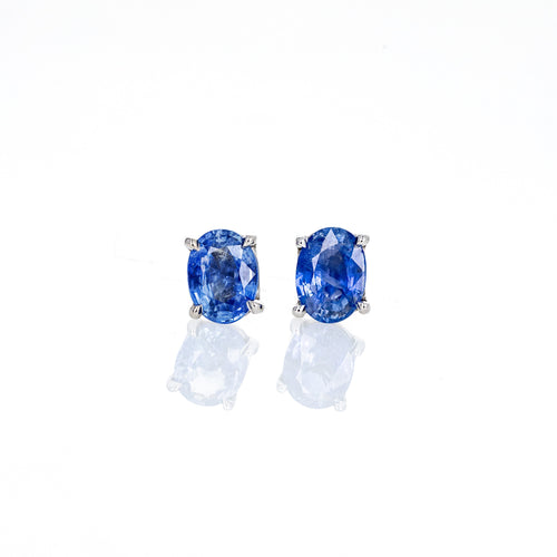 14K White Gold 2.62 Carat Oval Natural No Heat Sapphire Stud Earrings - Queen May