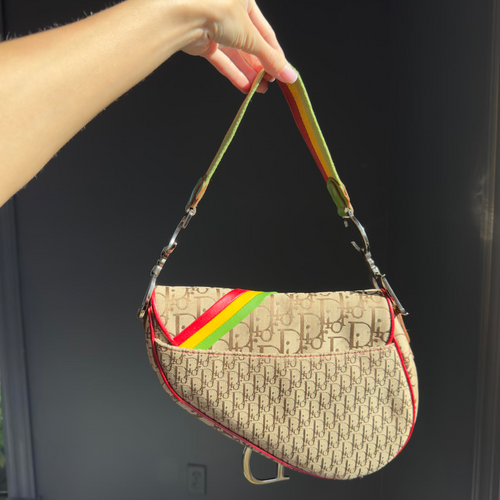 Dior Diorissimo Rasta Saddle Bag - Queen May