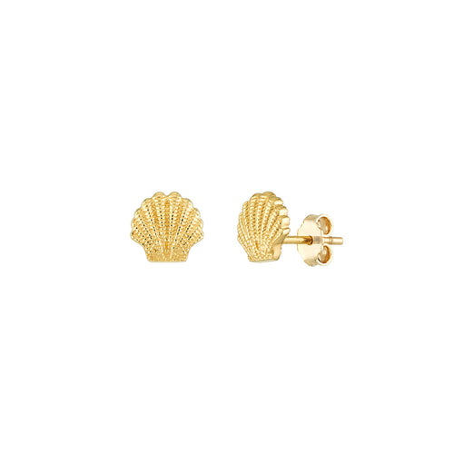 14K Yellow Gold Mini Seashell Stud Earrings - Queen May