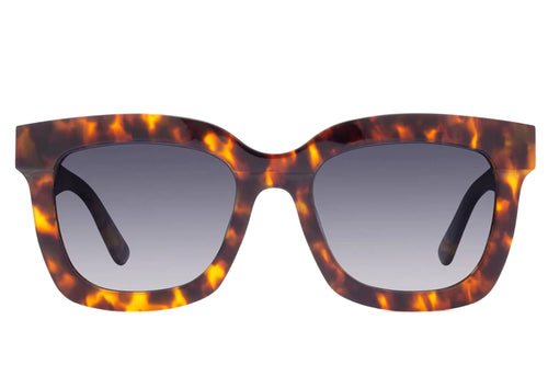 DIFF Carson Amber Tortoise/ Blue Steel Gradient Polarized - Queen May