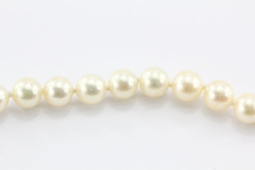 Mikimoto 18K Gold 6.3mm Princess Length Pearl Strand Necklace - Queen May