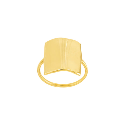 14K Yellow Gold Organic Rectangle Ring - Queen May