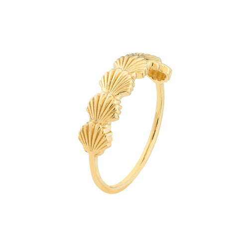 14K Yellow Gold Scallop Seashell Ring - Queen May